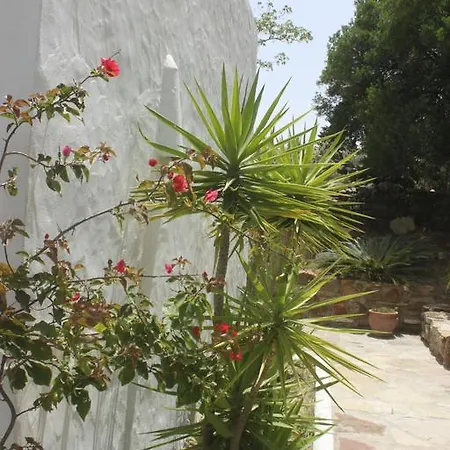 La Alqueria Villa Tarifa
